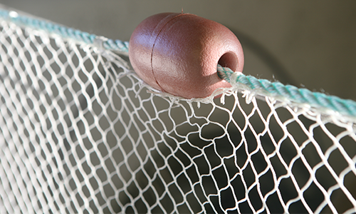 Low stretch seine rope