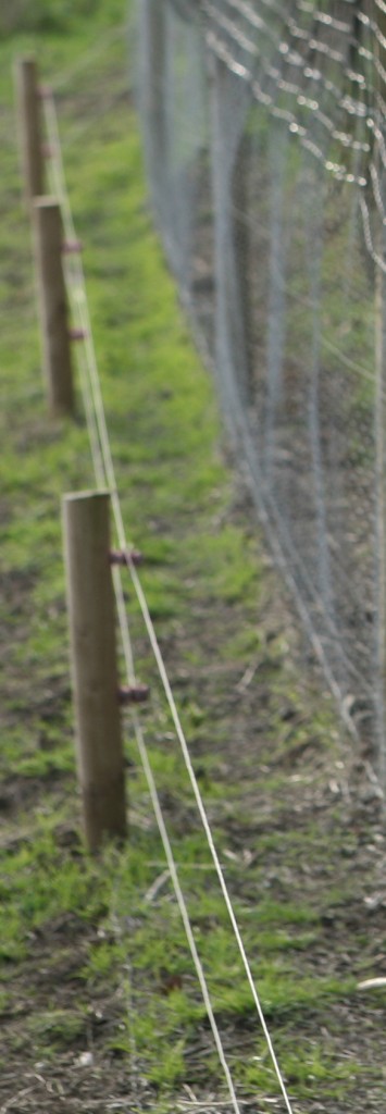 7 Strand Electric Fence Wire