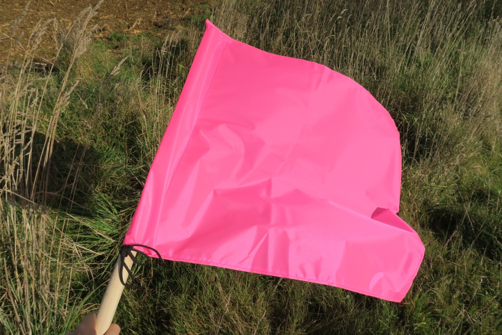 Pink Beaters Flags