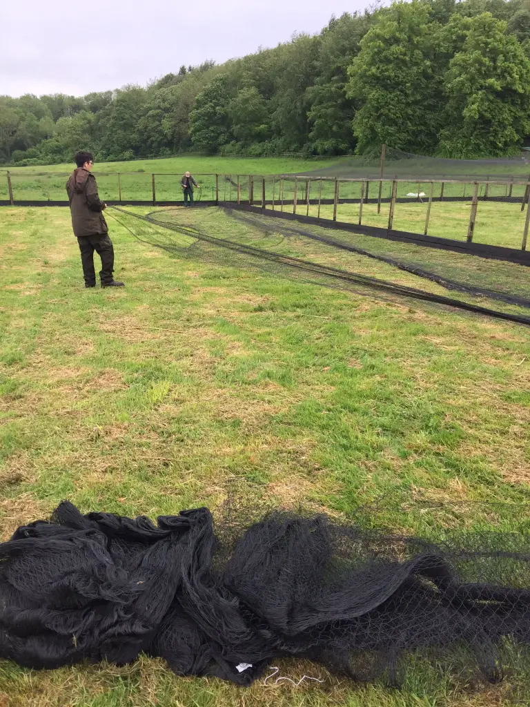 Game and Poultry Bird Netting