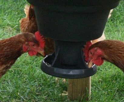 Standard pan feeder attachment 15cm