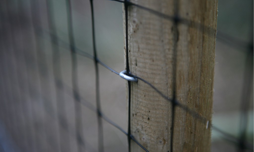thumbnail image 2 of Galvanised Steel Fencing Staples 15mm-40mm – Netting, Chicken Wire, Mesh Fence 2 of 5