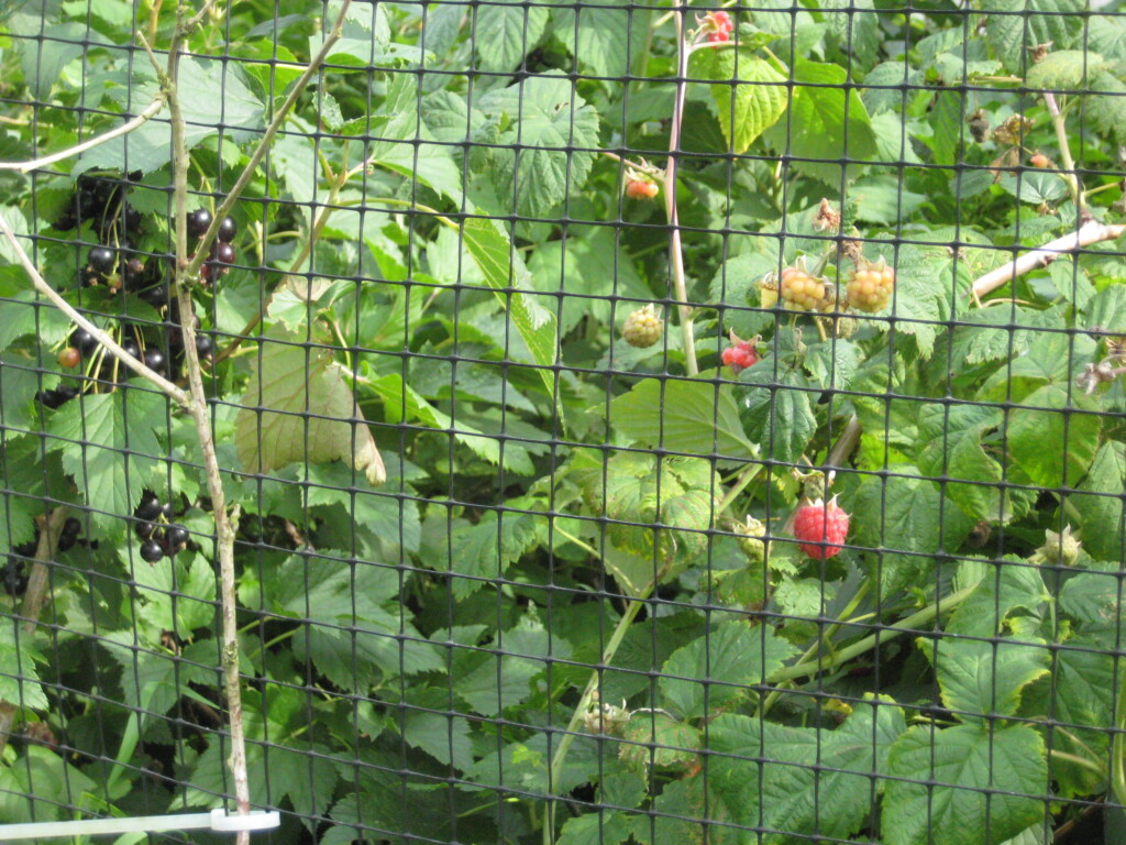 Gameflex Release Pen Netting 1.2 mtrs x 100 mtrs