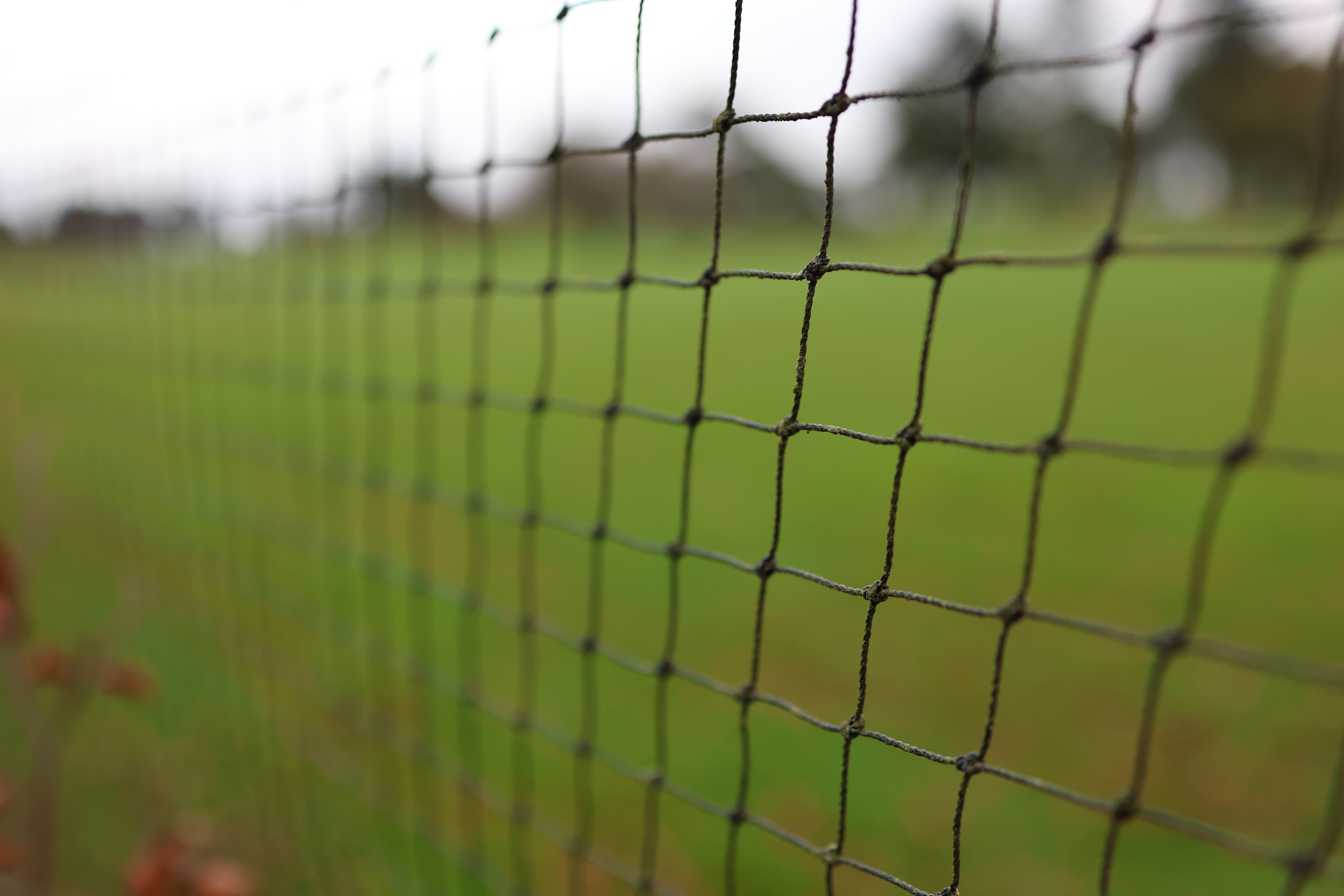Golf Course Perimeter Netting 28 mm Square Mesh