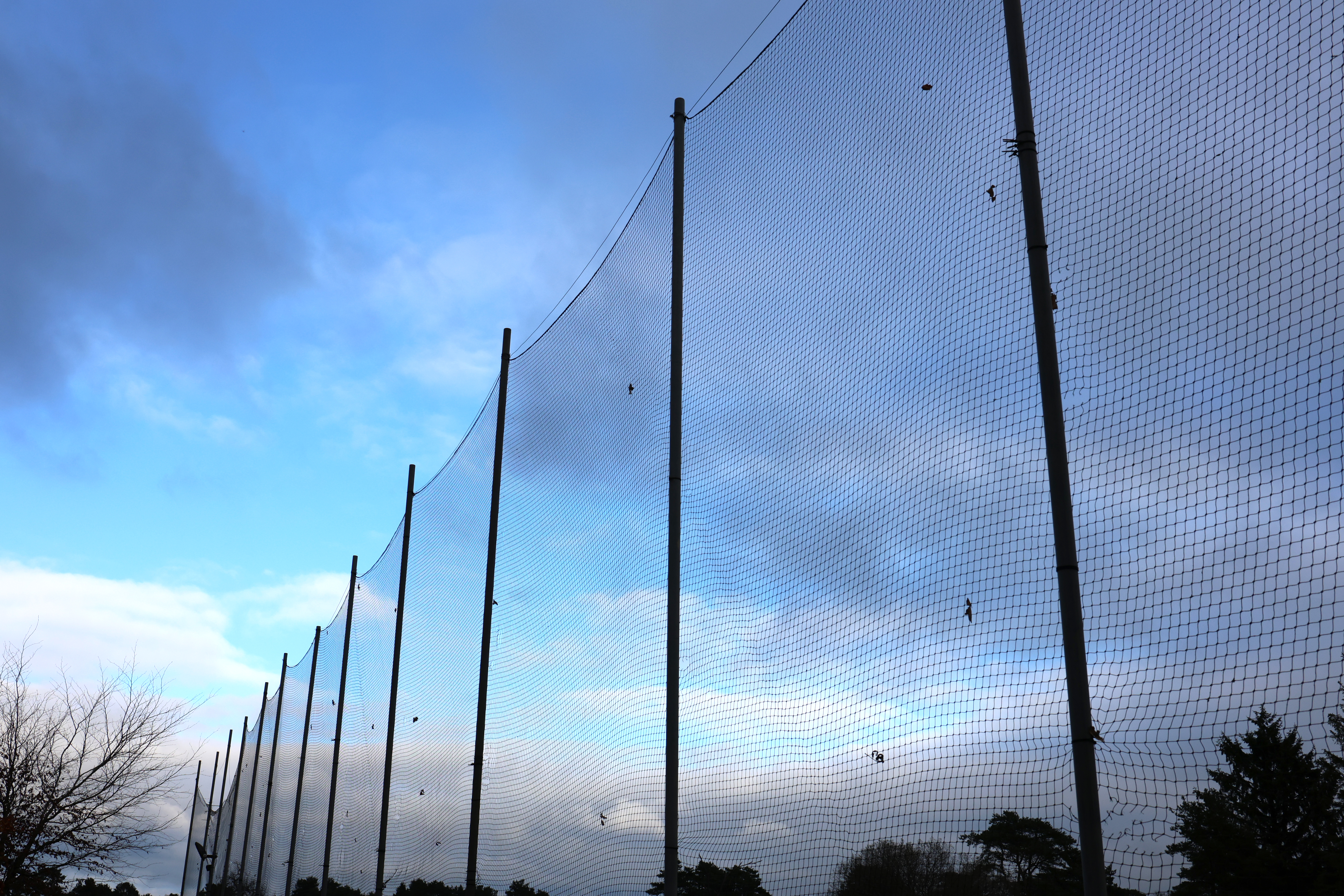 Golf Course Perimeter Netting 28 mm Square Mesh