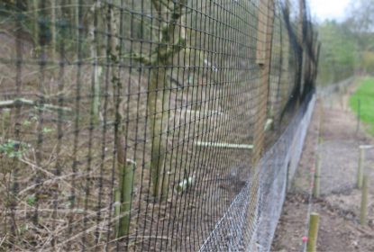 Jumbo Release Pen Netting 5ft