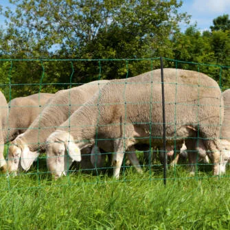 Electric Netting for Sheep & Goats 90cm high