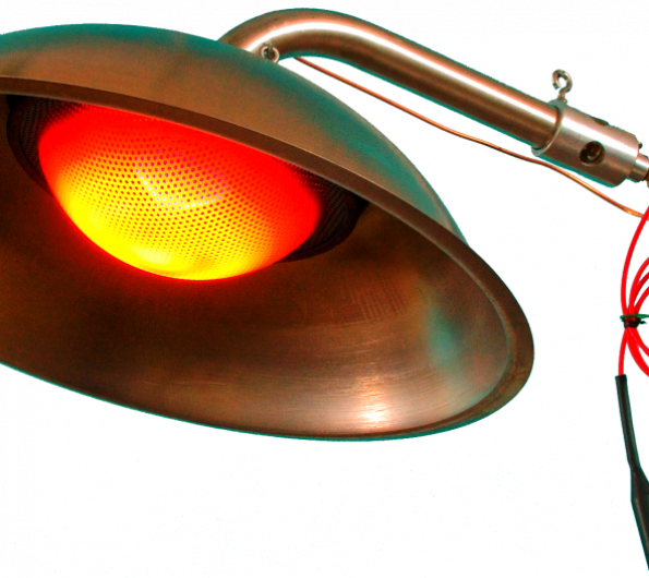 keep your birds warm