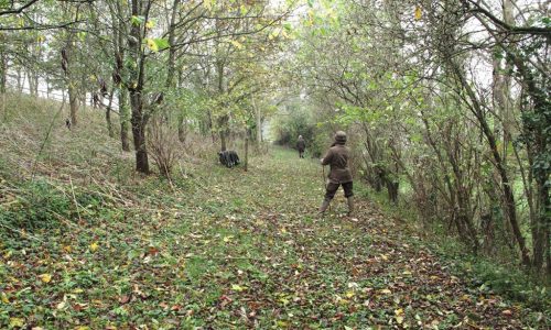 Day out Beating on Eastwood Farm Shoot Somerset