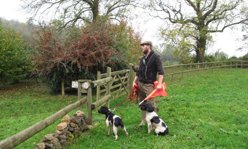 Day out Beating on Eastwood Farm Shoot Somerset