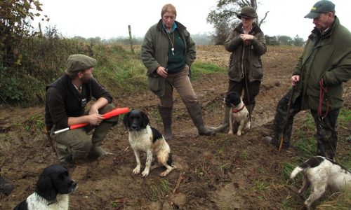 Day Beating on Eastwood Shoot Somerset