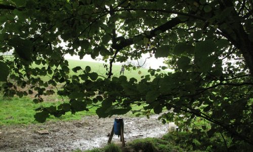 Day out Beating on Eastwood Farm Shoot Somerset