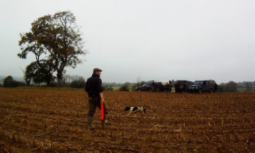 Day out Beating on Eastwood Farm Shoot Somerset