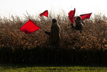 orange beaters flags