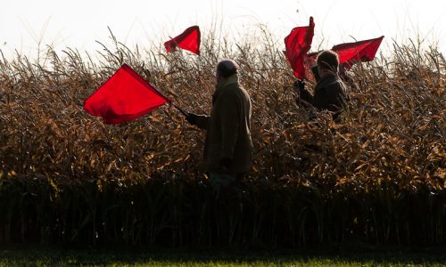 orange beaters flags