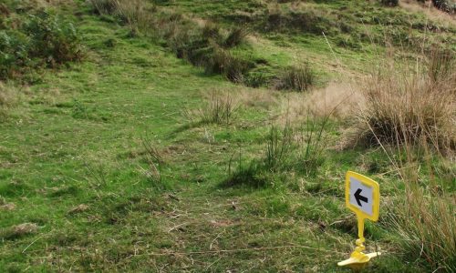 flexi peg marker yellow