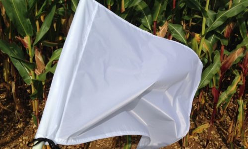 white beaters flag