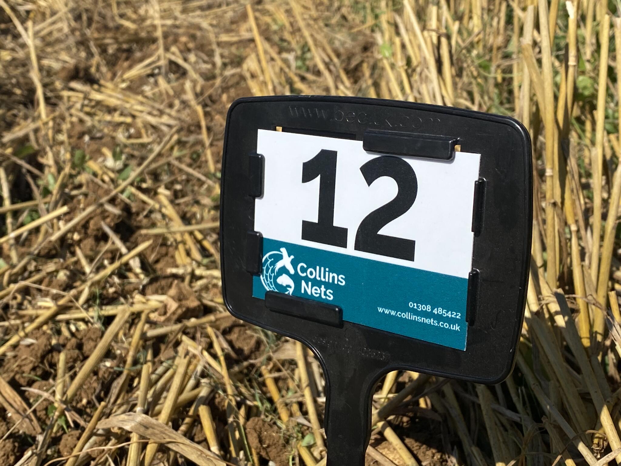 Shooting Peg Numbers 112 Gun Stand Cards Collins Nets