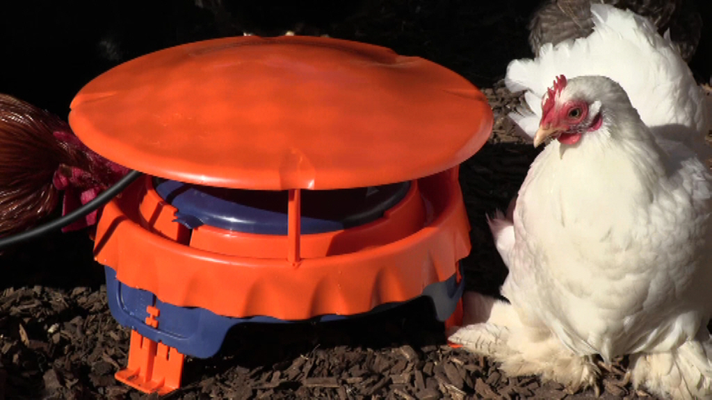 Cleanflo Drinker Complete