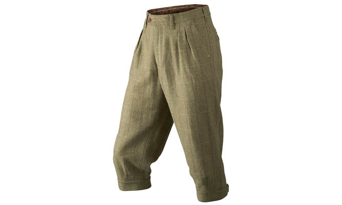 Ragley Breeks