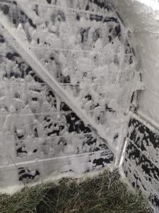 Biosafe Foaming Cleaner