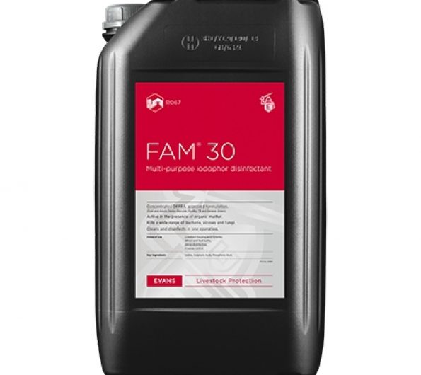 FAM 30 Disinfectant - 5 litres or 25 litres
