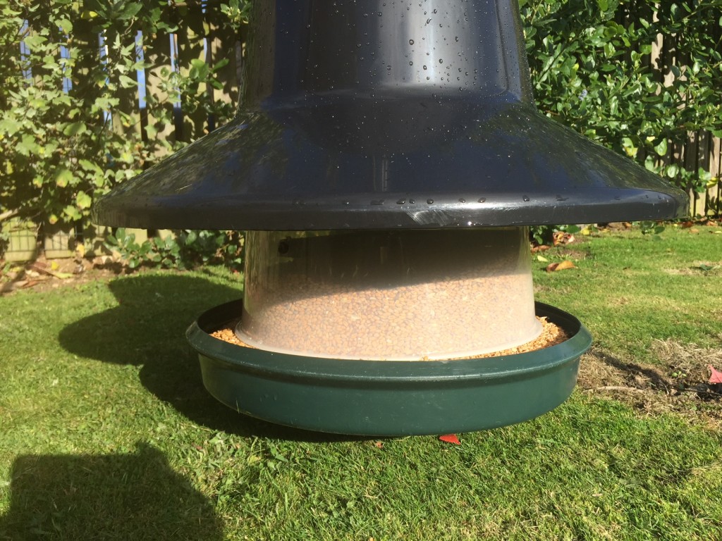 Clear Tube for King Feeder