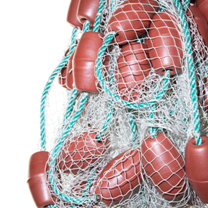 Seine Nets | Fish Farms | Fish Management | Collins Nets