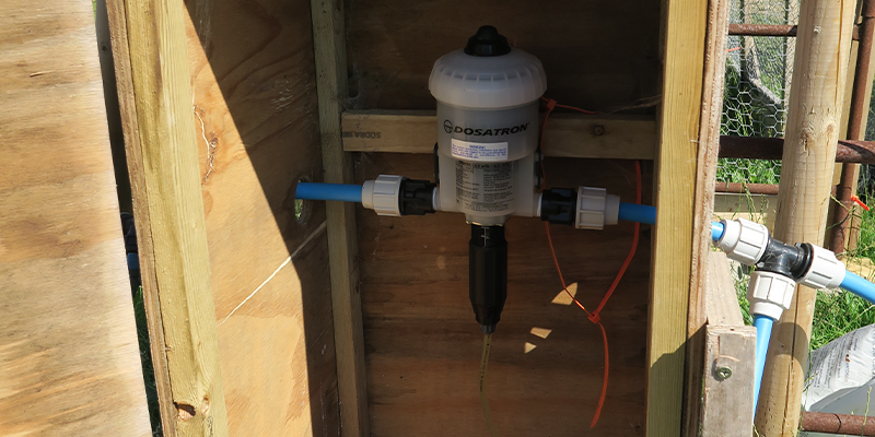 The importance of water - game bird rearing