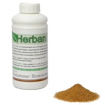 Oregano / Oreganum – 1 ltr