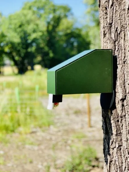 Goodnature A18 Grey Squirrel Trap Guard