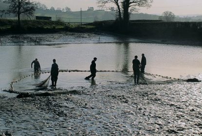 Testimonial from VS Fisheries Ltd