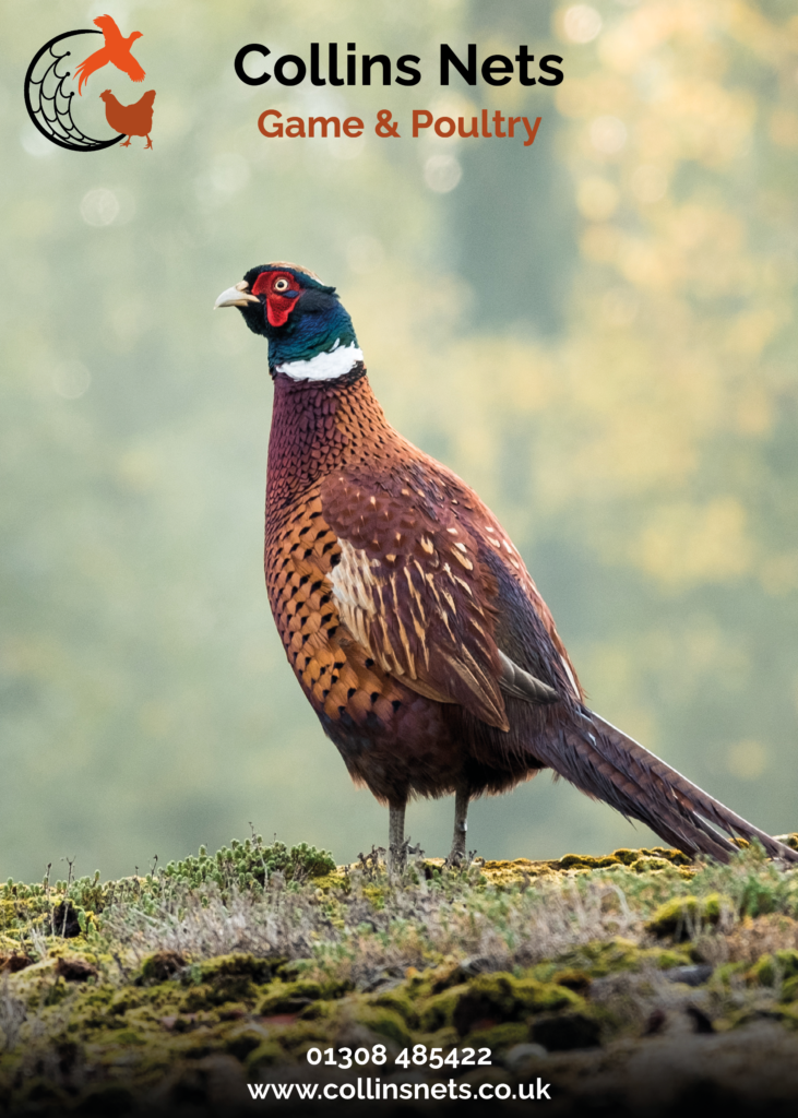 Price increases - Game and Poultry Catalogue