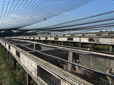 heart of england farms netting 