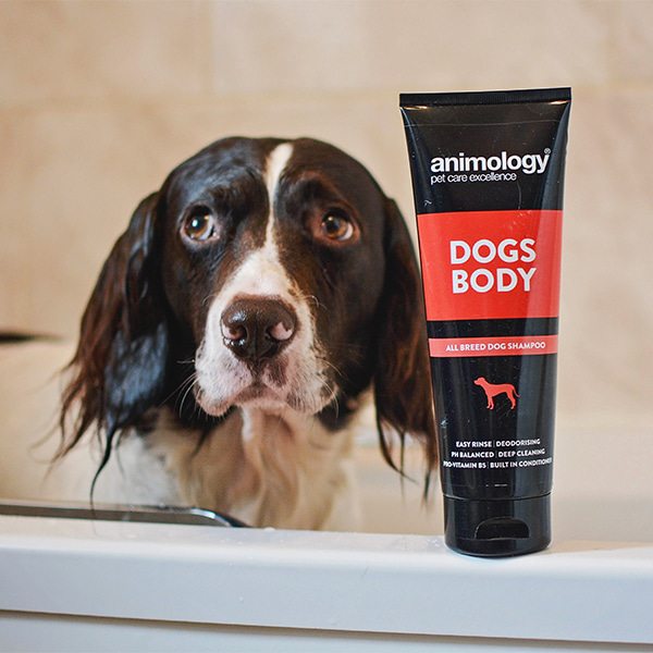 animology dogs body shampoo spaniel