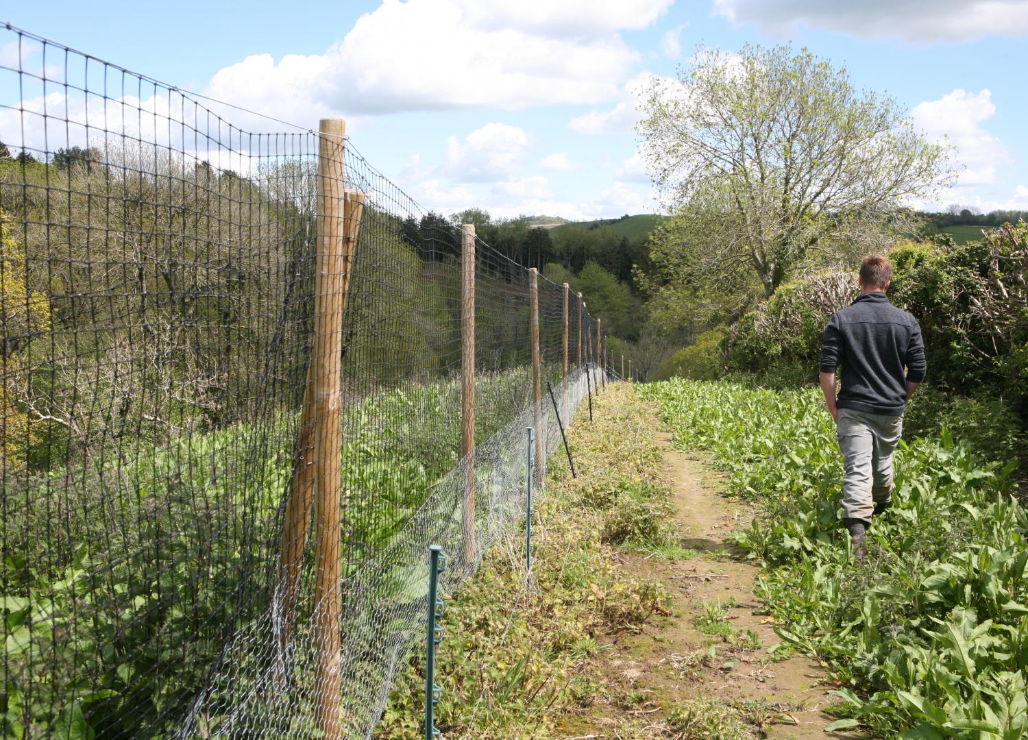 jumbo release pen netting. Game rearing equipment.