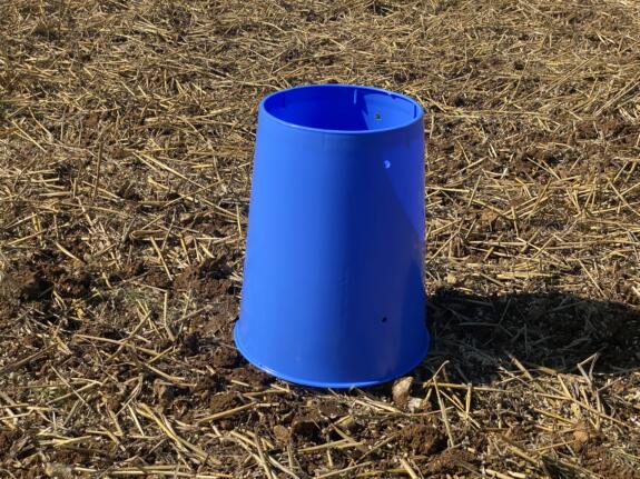 manola blue tube only