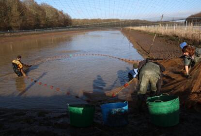 Why you need Pond & Lake netting