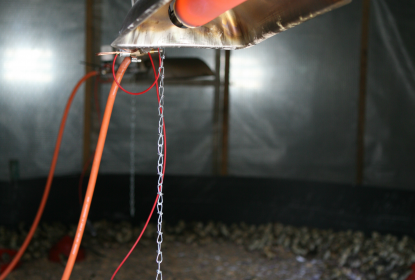 alke ap2 gas brooder - game bird rearing