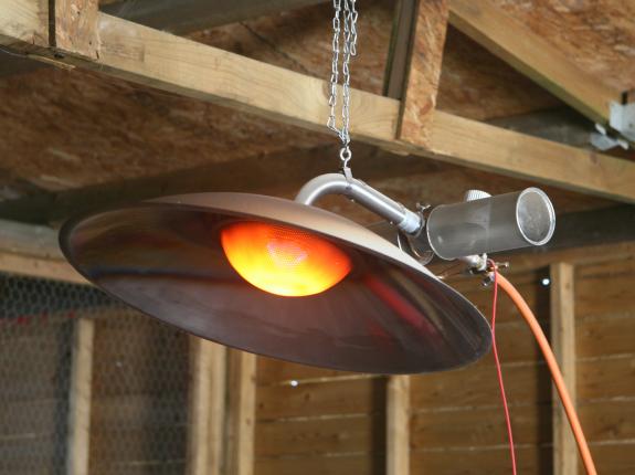 Global 10 gas brooder