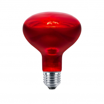 IR1 ruby heat lamp bulb 250 watts