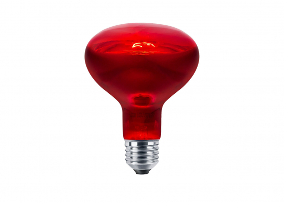 IR1 ruby heat lamp bulb 250 watts