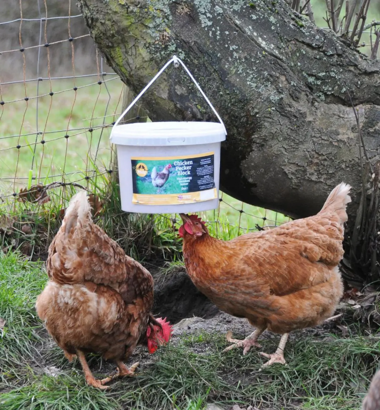 Chicken Pecking Block 6kg Feldy Poultry Feed Treats