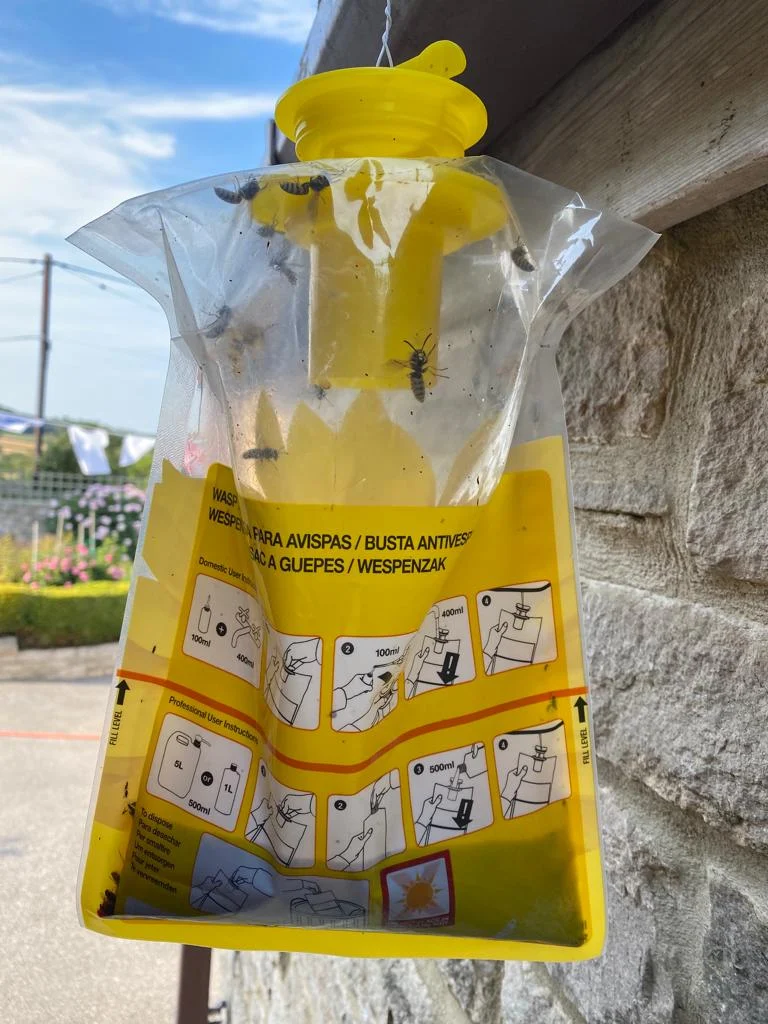 Trappit Wasp Bag - Disposable
