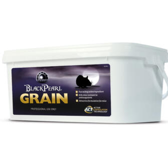 black pearl grain 1kg