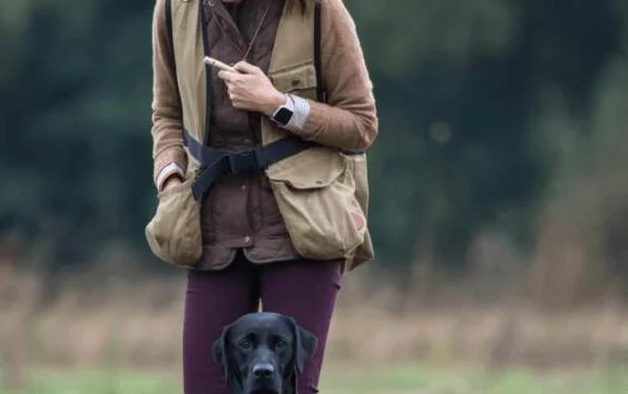 dog training whistles
