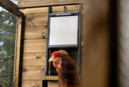 ChickenGuard Locking Combi Premium