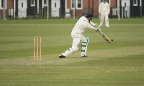 Cricket Netting
