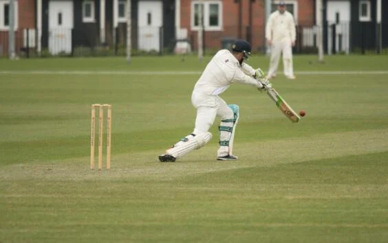 cricket sports netting at collins nets