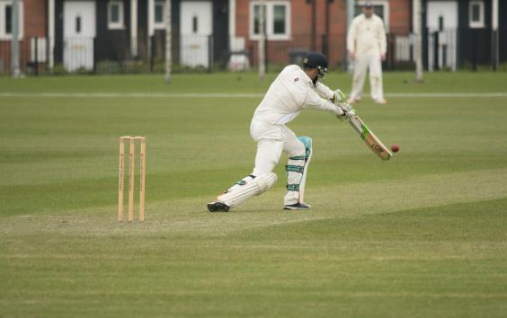 cricket sports netting at collins nets
